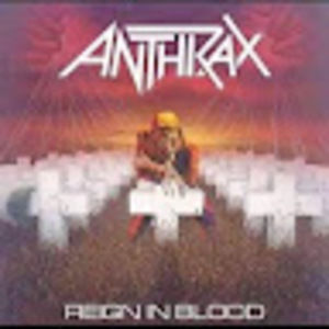 Meet your Posher, Jackson